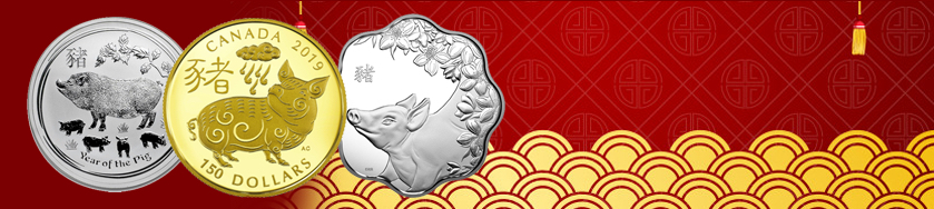 Chinese Pig Coins